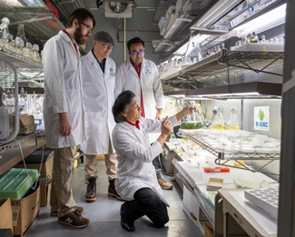 Agricultural Research