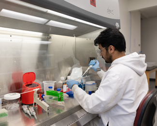 Doctoral Students Research